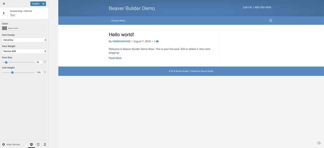 Beaver Theme Styling Options