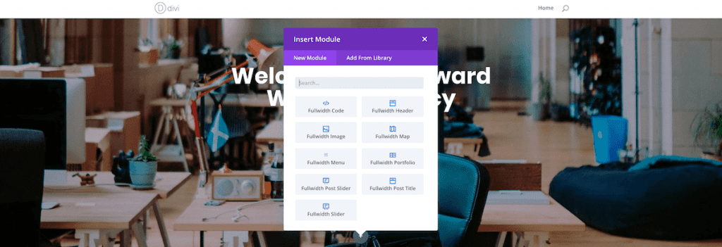 Divi modules