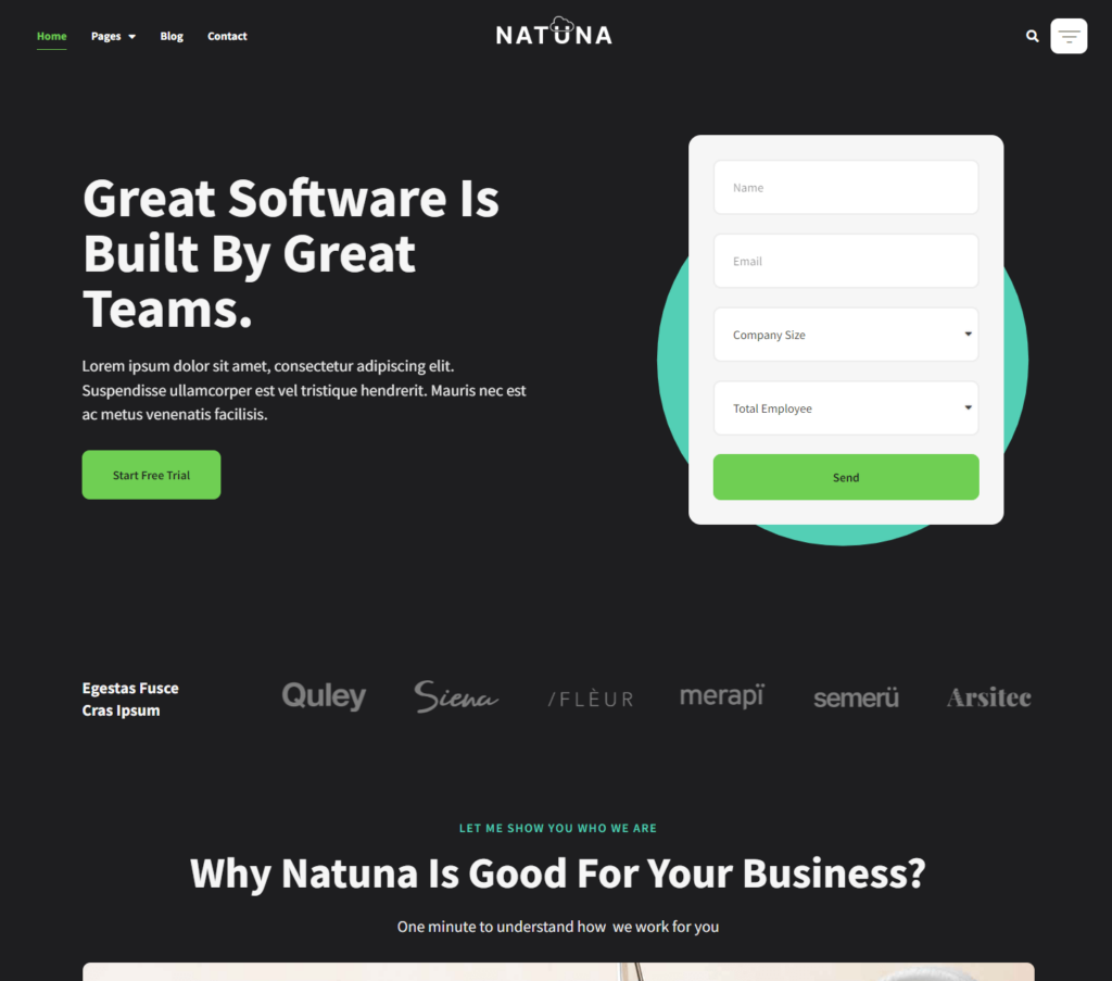 Homepage of Natuna Elementor template kit