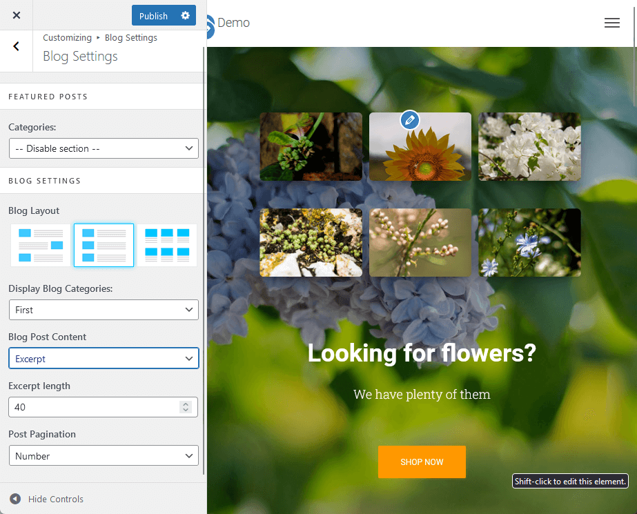 customizing the blog settings with hestia pro