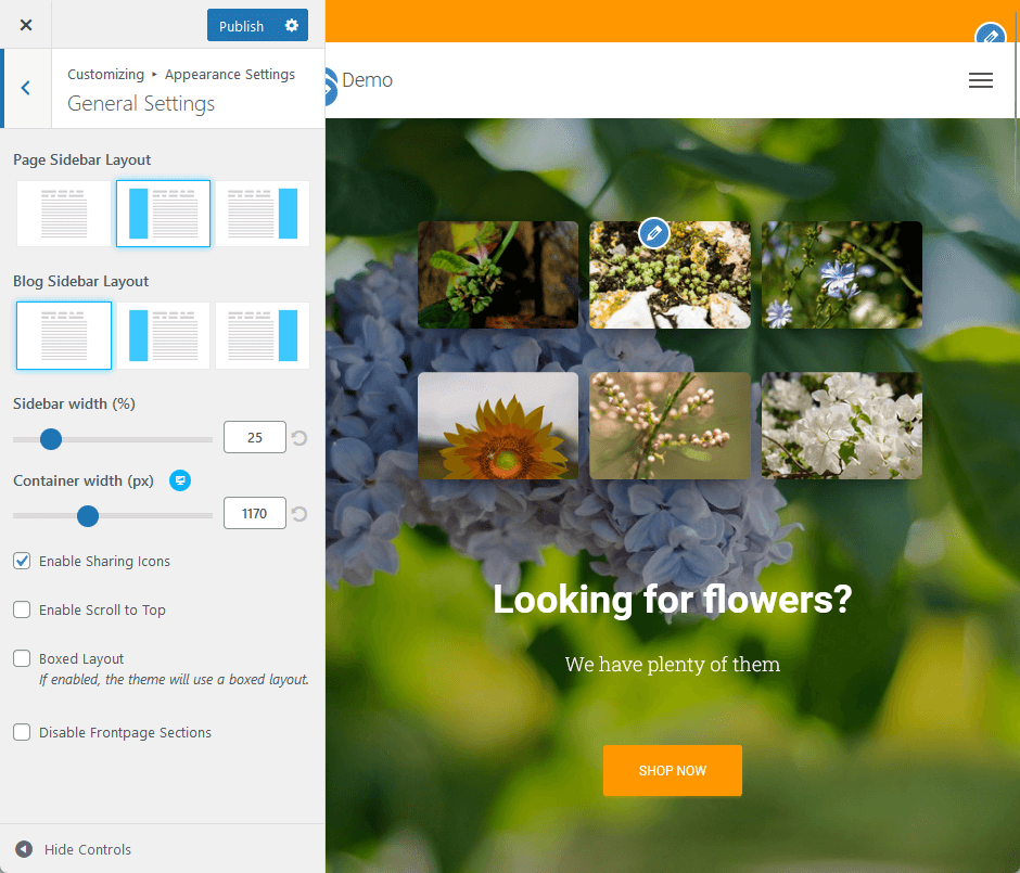 customizing the general appearance settings with hestia pro