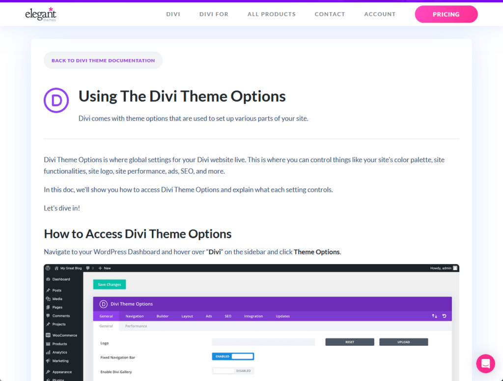 Divi comes with theme options that are used to set up various parts of your site
